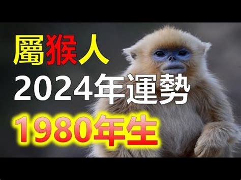 1980屬猴幸運數字|1980年出生的属猴人的幸运数字是多少